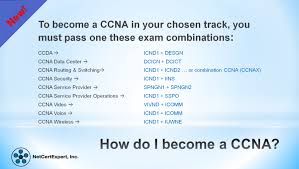 Hasil gambar untuk ccna