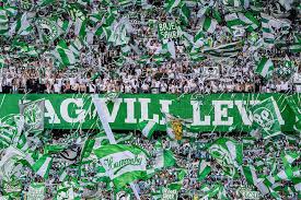 Hammarby Fotboll - News update