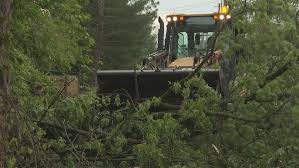 Thousands remain without power after strong winds take down trees, power lines