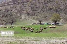 فیلم|خبرنگاران پرچمداران حفظ و احیای منابع طبیعی