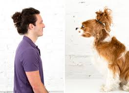 Image result for man bun