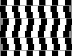 Image result for optical illusions