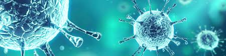 Microbiology এর চিত্র ফলাফল