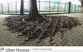 Nature finds a way | Funny Pictures, Quotes, Pics, Photos, Images ... via Relatably.com