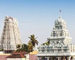 Image of Nataraja Sculpture of Suchindram Shree Thanumalayan Swamy Temple