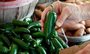 CDC warns of multistate Salmonella outbreak linked to recalled jalapeños, 345 sick across 27 states
