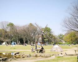 名城公園 芝生広場の画像