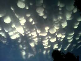 Image result for Mammatus cloud
