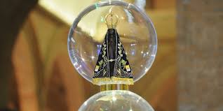 Resultado de imagem para imagens de nossa senhora aparecida