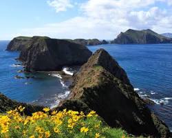 Image of Channel Islands National Park California