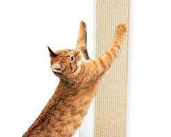 cat scratching postの画像