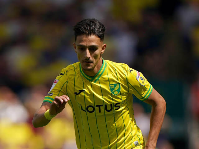 Norwich defender Giannoulis out for at least eight weeks - The Athletic