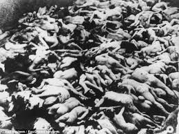 Résultat de recherche d'images pour "nazi mass grave"