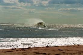 Résultat de recherche d'images pour "surfing, The New Yorker"