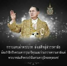 ผลการค้นหารูปภาพสำหรับ ร.9