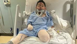 Dallas 8-Year-Old Home At Last After New Year's Crash Costs ...