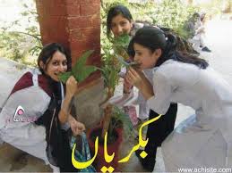 Image result for funny pakistani images