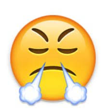 Image result for Face With Look of Triumph