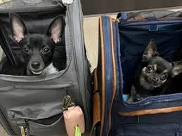 News source: National Post