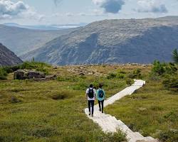 Image de Parc national de la Gaspésie