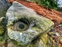 🇲🇬👁𝗧𝗼𝘆 𝗻𝘆 #𝗺𝗮𝘀𝗼 𝗺𝗶𝗵𝗶𝘁𝘀𝘆 𝗻𝘆 𝗲𝗻𝗱𝗿𝗶𝗸𝘆 𝗻𝘆 𝗿𝗮𝗻𝗼 𝗮𝗼 𝗮𝗻𝗮𝘁i𝗻'𝗶𝘁𝘆 #𝗱𝗼𝗯𝗼 𝗸𝗲𝗹𝘆 𝗲𝗼 𝗮𝗺𝗯𝗼𝗻𝘆 #𝘃𝗮𝘁𝗼 𝗶𝘁𝘆. Any amin'iny lalana mankany ambanivohitry ny #Nosy_Varika iny no misy azy. (Sary indrana)