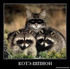 Картинки по запросу оберег демотиватор