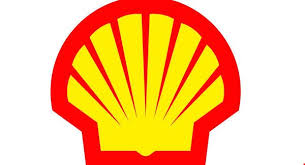 Image result for mayo now logo