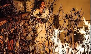 Corriere dell’Umbria - News update