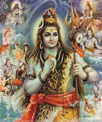 Image result for shiva bhagavan pictures