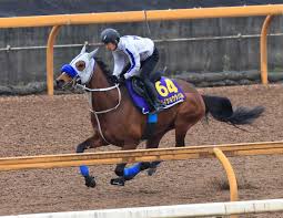 メイショウタバル 武豊とのコンビで凱旋門賞参戦を視野 (2026年4月28日掲載)