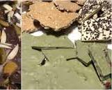 Image of Frito Lay Dulce de Leche and Dark Chocolate Cornflake chocolate by Soraya Sweets