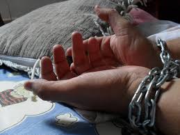 Image result for shared hope international