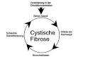 Mukoviszidose zystische fibrose