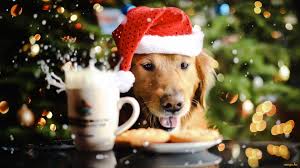 images?q=tbn:ANd9GcQzEFbhinTiE6H1wa4gcPA