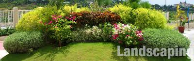 Image result for unique landscaping in manila