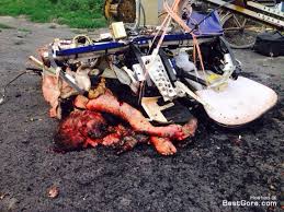 Image result for mh17 wings