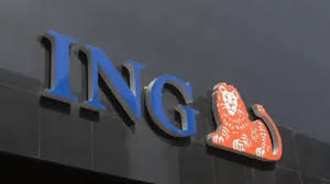 Trend Google: ing