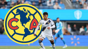 Edwin Cerrillo