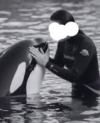 Every body free fire lover ⛳ | Facebook