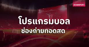 Siamsport - News update