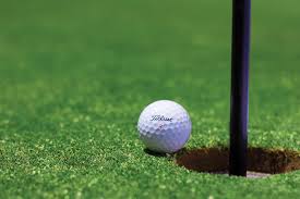 Image result for  golfer