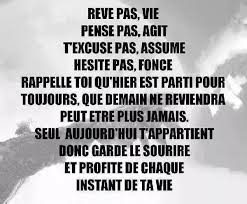 Image result for vis ta vie