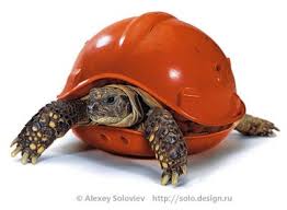 images?q=tbn:ANd9GcQz_7jpBnXymgoFX50nhlJQDPwDWWrO-czQiDwXqBwzZbhVrxY6