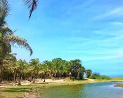 Image of Puducherry Paradise Beach