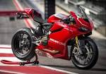 Ducati Superbike Panigale R - Ducati