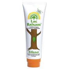 Résultat de recherche d'images pour "tree trunk repair grafts"