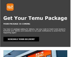 Image of Temu email subscription