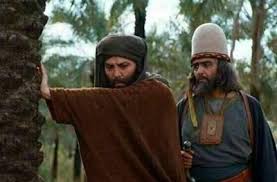 فریبرز عرب نیا