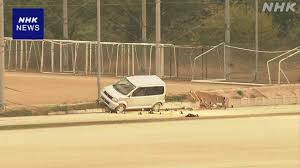 車横転で高校生死亡 業務上過失致死傷疑いで教諭2人を書類送検