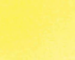 Image of Citron Yellow color